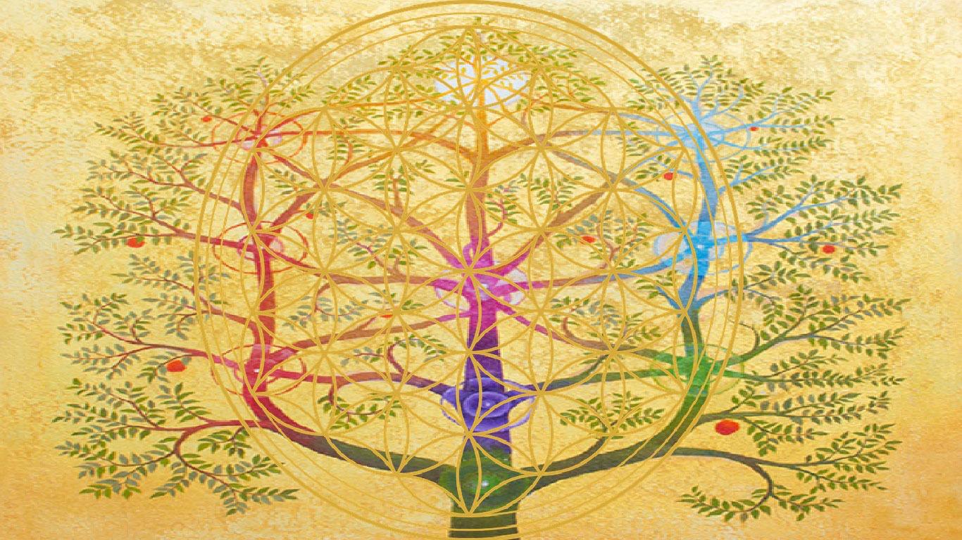 Costellazioni Familiari